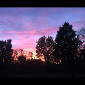 Meet your Posher, Robin